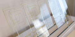 Die Auszeichnungen für den P-Seminar-Preis 2025.